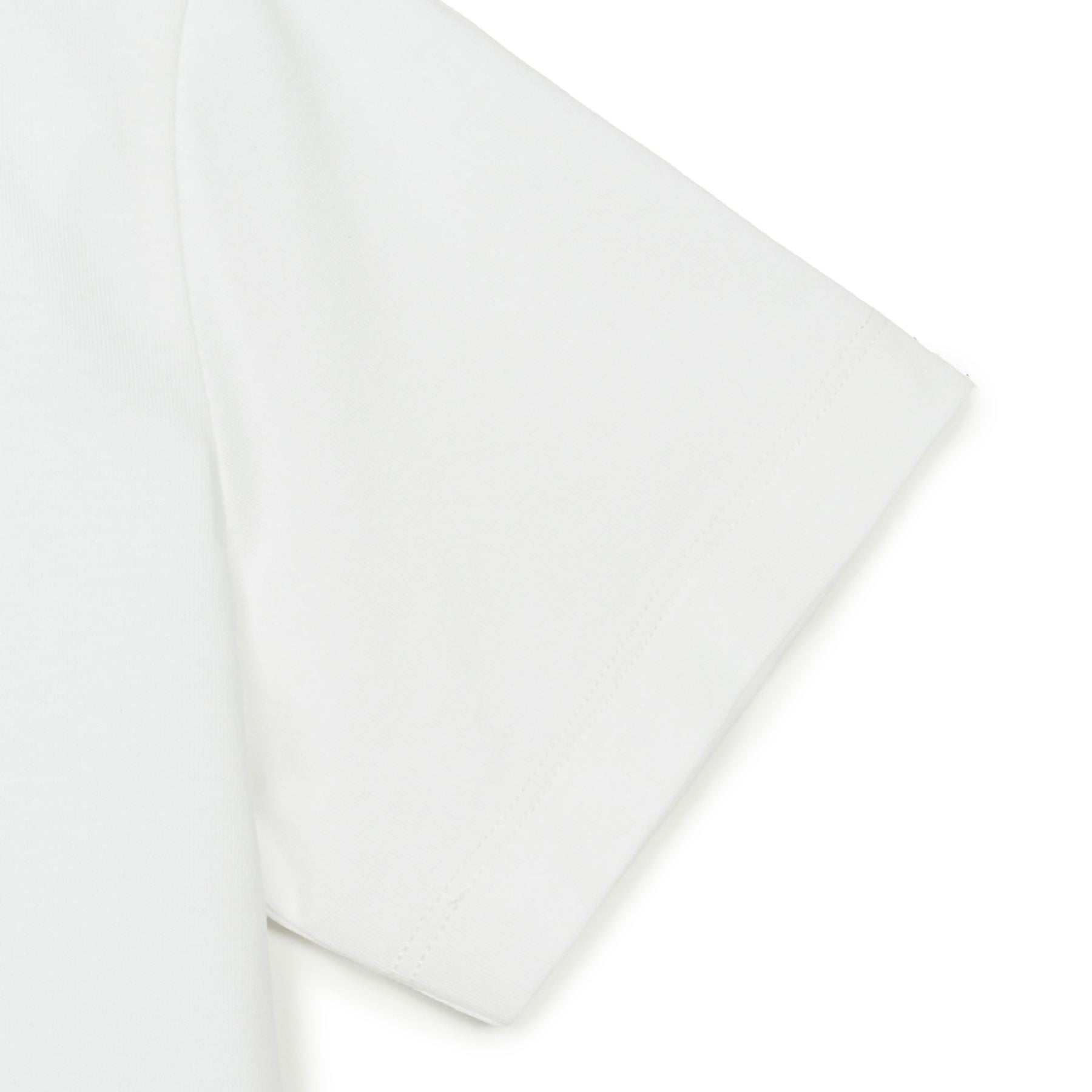 WOMEN’S BASIC CROP T-SHIRTS NEW YORK YANKEES