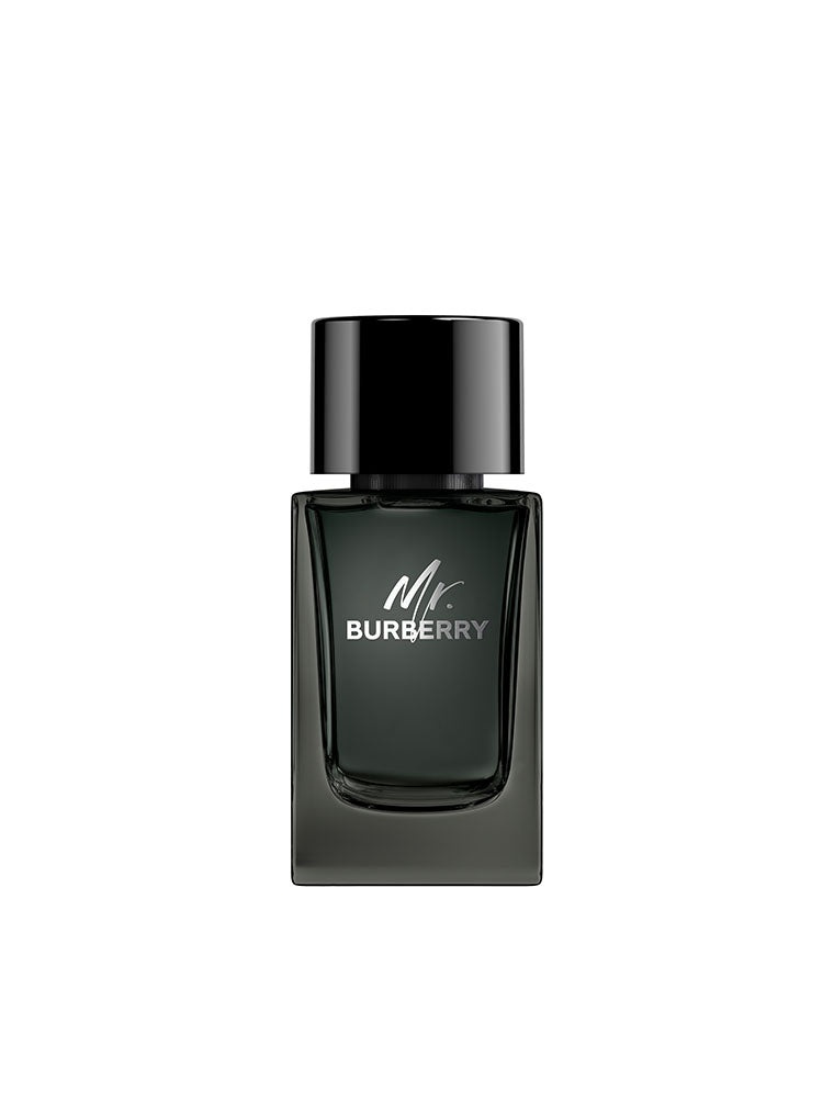 BURBERRY Mr. Burberry Eau de Parfum for Men 100ml