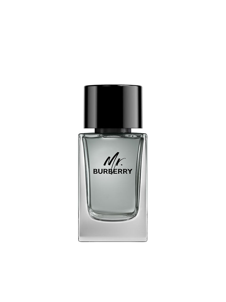 BURBERRY Mr. Burberry Eau de Toilette for Men 100ml