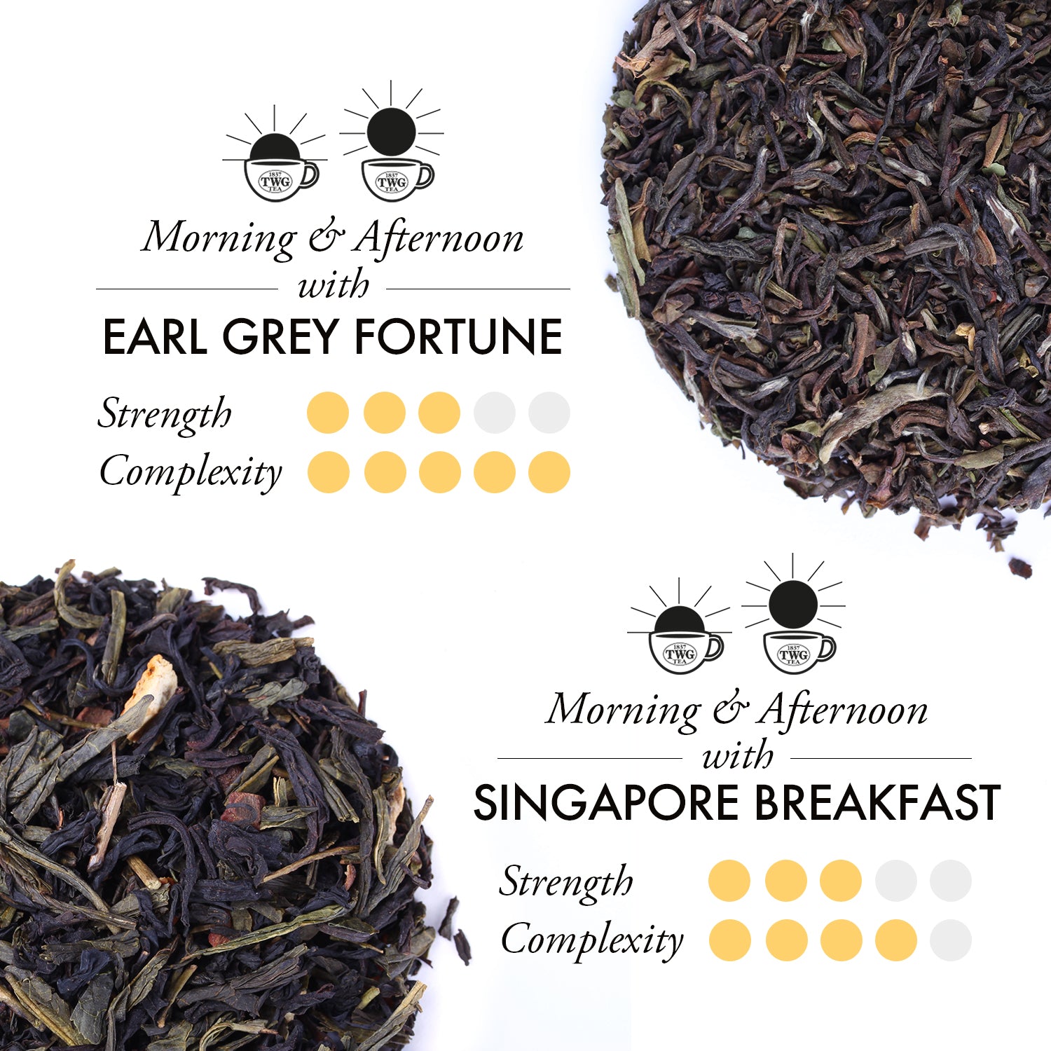 Grand Explorer Tea Set